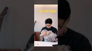 한동훈 ''아까 뚱땡이는 보셨으니깐 양이는 잡아다가 보여드리고 나갈게요''