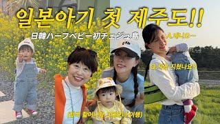 한일혼혈아기의 첫 제주도여행16개월 아기와 여행을 한다는 것,,,헬파티(with.한국할머니)ㅣ한일혼혈 육아브이로그ㅣ한일부부
