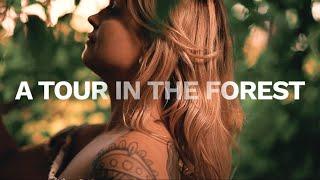 Cinematic Short Video | A tour in ther Forest  #ziedproduction #cinematicvideo #austria #canon