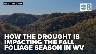 What to expect for West Virginia's fall leaf-peeping season