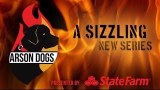 Arson Dogs Trailer  |  Victoria Stilwell Positively