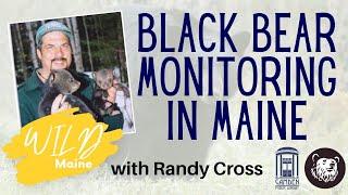 Center for Wildlife Studies "Wild Maine:" Black Bear Monitoring Project in Maine with Randy Cross