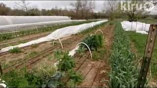 Angel Valley Organic Farm: Central Texas Gardener