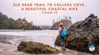 Elk Head Trail to College Cove, a Local Favorite Coastal Hike in Northern California