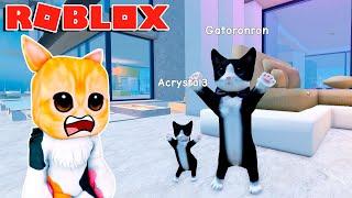 Me CONVIERTO en GATO y tengo un HIJO   en roblox | Gatoronron