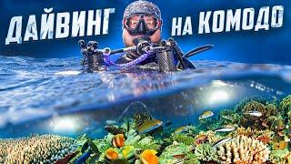 Дайвинг на Комодо!  #travel #trip #nature #komodo #diving