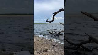 Lake view | sounds of waves #nature #travel #ceylon