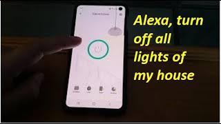 I Replaced Every Light Switch of My House with a Smart Switch!