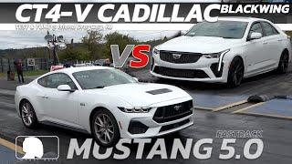 2024 Cadillac CT4 V Blackwing vs 2024 Ford Mustang Fastback 5 0