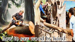 wood processing production and wood peeling processes#woodworkingmachine #woodprocessing #wood