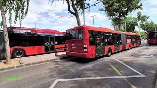 Bratislava mit den Trolley Bussen