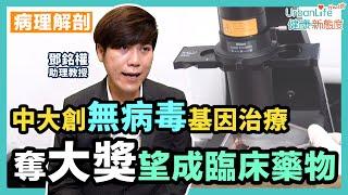 【無病毒基因療法】中大創無病毒基因治療不損基因　奪發明展大獎望成臨床藥物｜UrbanLife Health 健康新態度