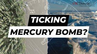 Could a “Mercury Bomb” Explode in the Arctic?