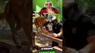 DOG QUERIA SER PROFISIONAL E CONSEGUIU