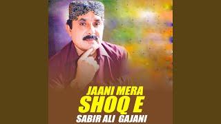 Jaani Mera Shoq E