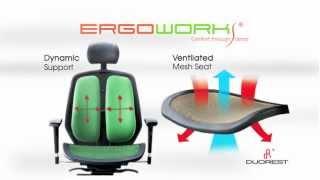 Ergoworks - The No. 1 Brand in Holistic Ergonomic Solutions