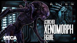 NECA Alien Romulus Ultimate Scorched Xenomorph Figure | @TheReviewSpot