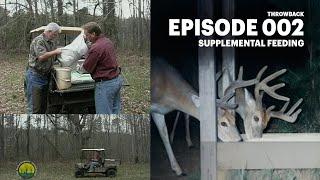 Do Deer Supplements Actually WORK?