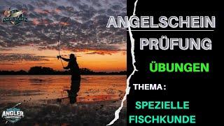 Angelschein Prüfungsfragen Spezielle Fischkunde 2 #angeln #angler #angelschein #anglerlife #fischen