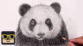 How To Draw a Panda | Sketch Tutorial