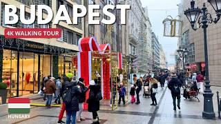 Budapest December Daytime Walking Tour | Winter Charm in the City