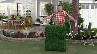 Garden Reflections Faux Boxwood Privacy Hedge on QVC