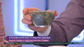 Стевия и другие: какие пищевые добавки попали под запрет, а что можно употреблять без опасности