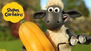 Shaun, o Carneiro [Shaun the Sheep] Poder vegetal  Hora Especial| Cartoons Para Crianças