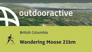 Interactive 3D flight: Wandering Moose 21km