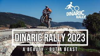 Dinaric Rally 2023 (4k POV)