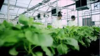 Agricultural Biotechnology: Accelerating Economic Opportunities in North Carolina UPDATE