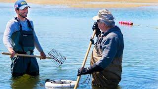 How to Catch Clams (Quahogs) on Cape Cod