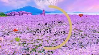 30 ثانیه به چیزی فکر نکن Do not think about anything for 30 seconds