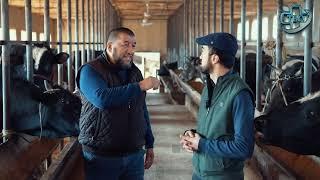 Buqa boqish sirlari va kerakli maslaxatlar