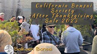 CBS Thanksgiving After Thanksgiving Sale 2023 - Bonsai Destination - Baikoen Bonsai Club