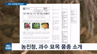 농진청, 병해충에 강하고 맛도 좋은 과수 묘목 소개