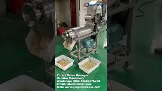 Fresh Ginger Juicer Machine with Crushing Function