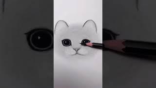 how to draw a cute kitten #howtodraw #kitten #cat #cute #catlovers #sketch #drawing #pencildrawing