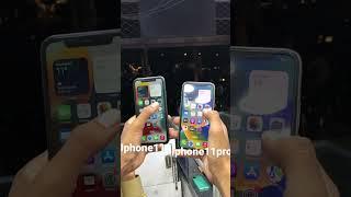 Iphone 11 Vs Iphone 11 Pro Camera Test #shorts