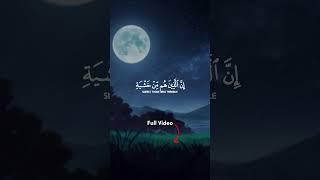 Best Recitation of Surah Muminoon! Part 13 #quran #surahmuminoon #yaseeraldossary