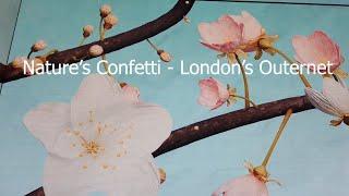 #Nature's #Confetti @ London's #Outernet