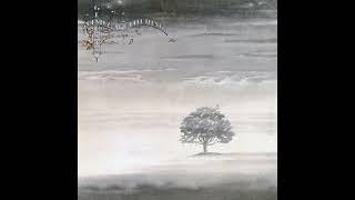 Genesis - Wind & Wuthering (1976) FULL ALBUM Vinyl Rip