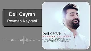 Peyman Keyvani - Dəli Ceyran | پیمان کیوانی - دلی جئیران