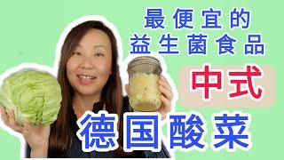 中式德国酸菜做法! 最便宜而且健康的益生菌食品!Chinese style sauerkraut,  cheapest and healthy probiotic food!