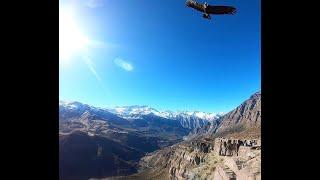 Mirador de cóndores, San Jose de Maipo, Santiago, Chile