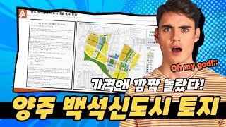 24년 구역지정 예정 환지방식 백석신도시 개발지내 토지 매물(급매)