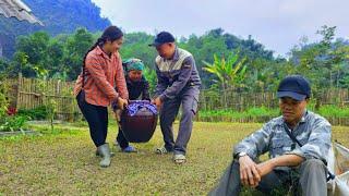 Parents return: Phan Chieu is surprised to see his mother. Father's intention with the cows