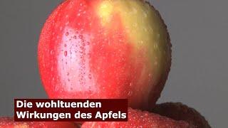 ReiseKüche: Die wohltuenden Wirkungen des Apfels