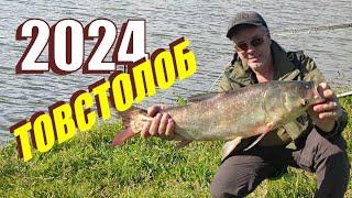 Варто спробувати НА ЛОБІКА..!!!  У СВІТІ ТВАРИН з ночівлею... Fishing Video