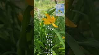 어리연의 편지